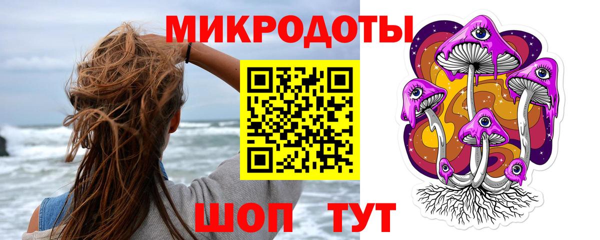 Псилоцибиновые грибы Psilocybine cubensis Воскресенск